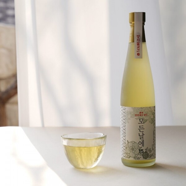 [로컬 특가세일]양양술곳간 약주 모든날에 500ml 15도